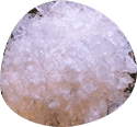 2'FL ingredient in Klora's gut-renew formula