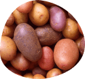 Potatoes laying on eachother